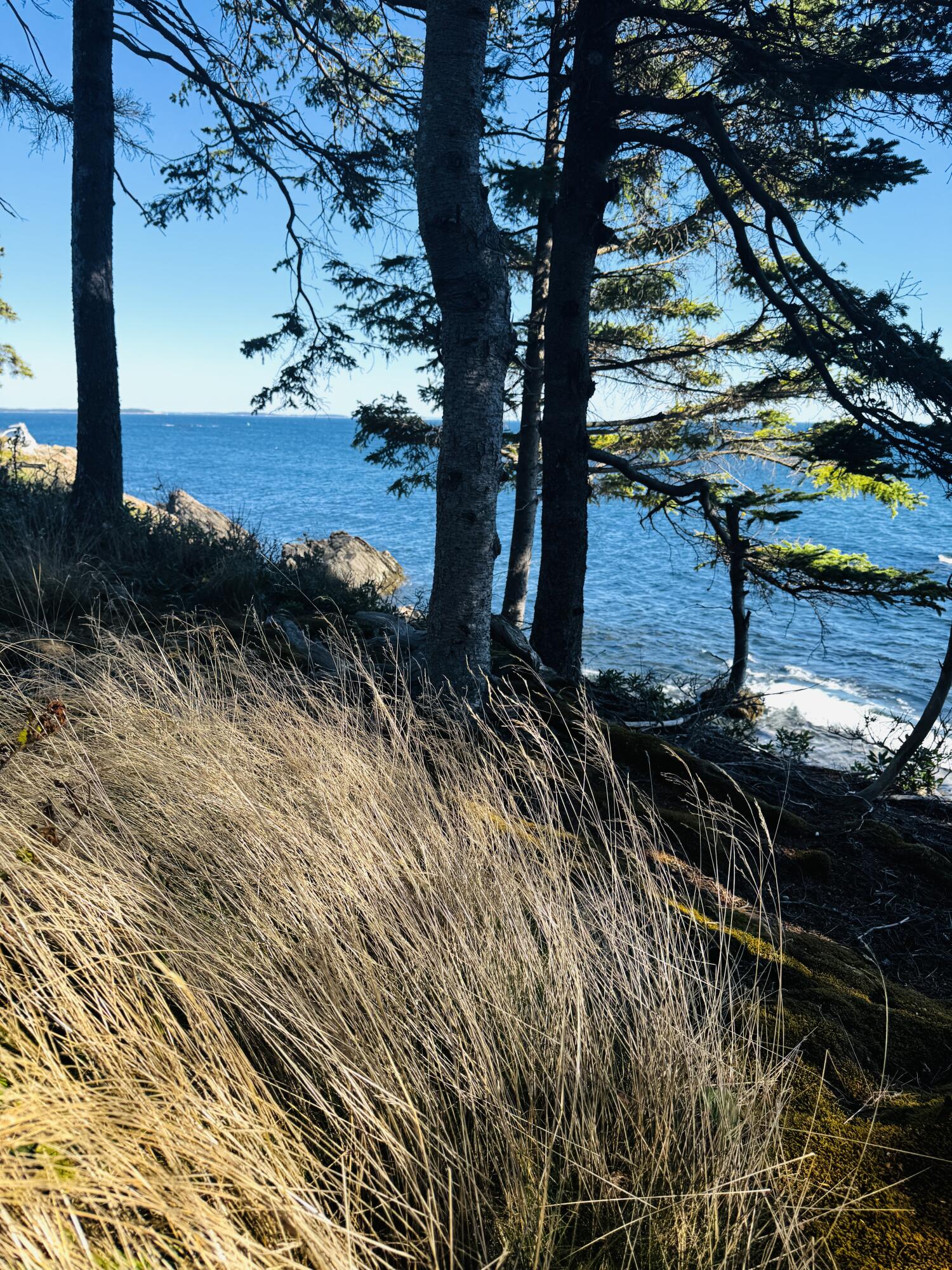 0 Hellyer Road Saint George ME 04860