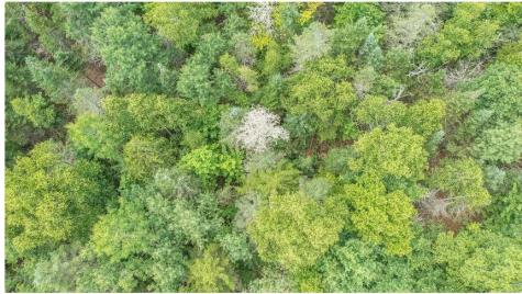 13 N Long Swamp Road Jackson ME 04921