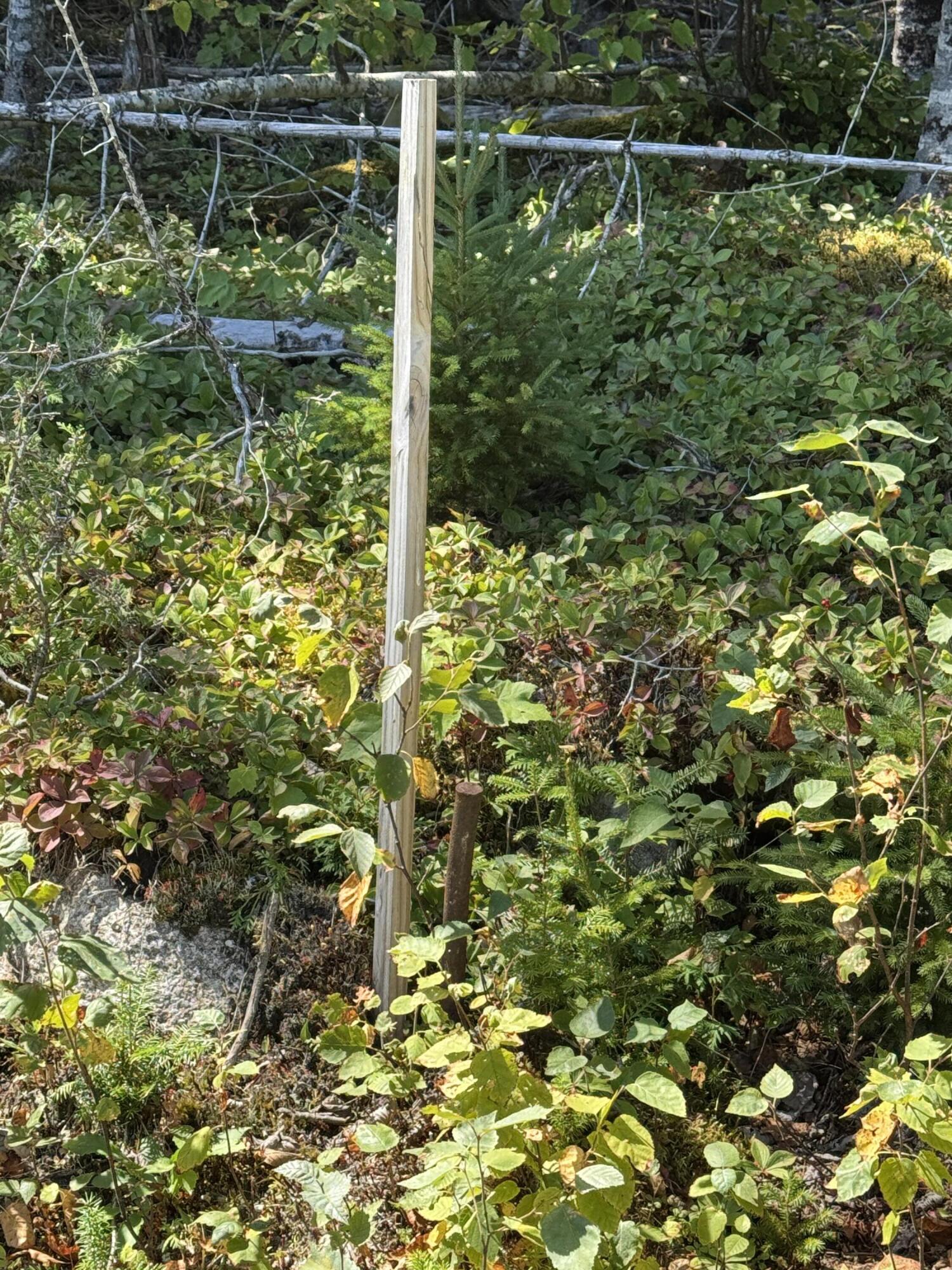 Lot 13 Red Rock Estates Pembroke ME 04666