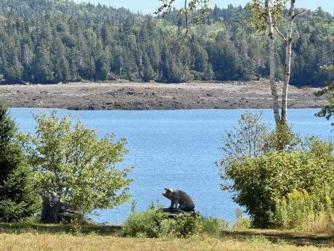 Lot 13 Red Rock Estates Pembroke ME 04666