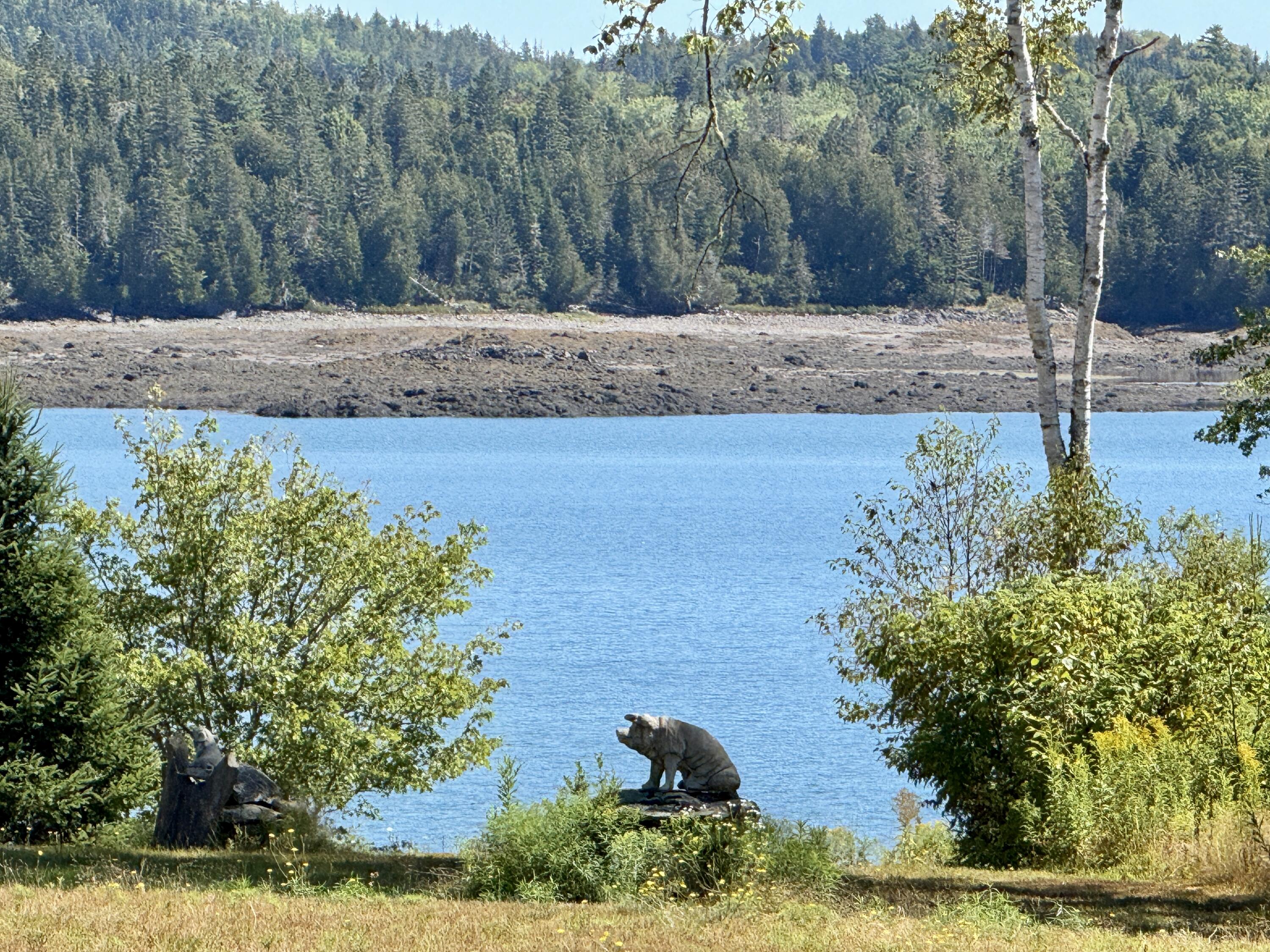 Lot 13 Red Rock Estates Pembroke ME 04666