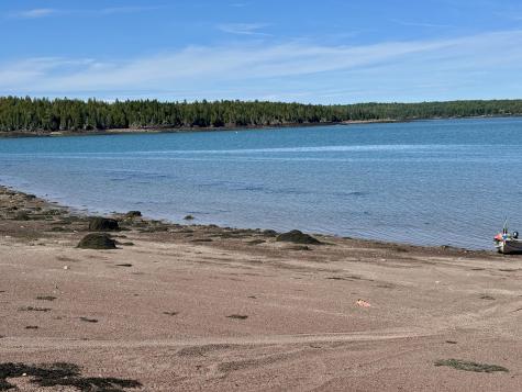 Lot 13 Red Rock Estates Pembroke ME 04666