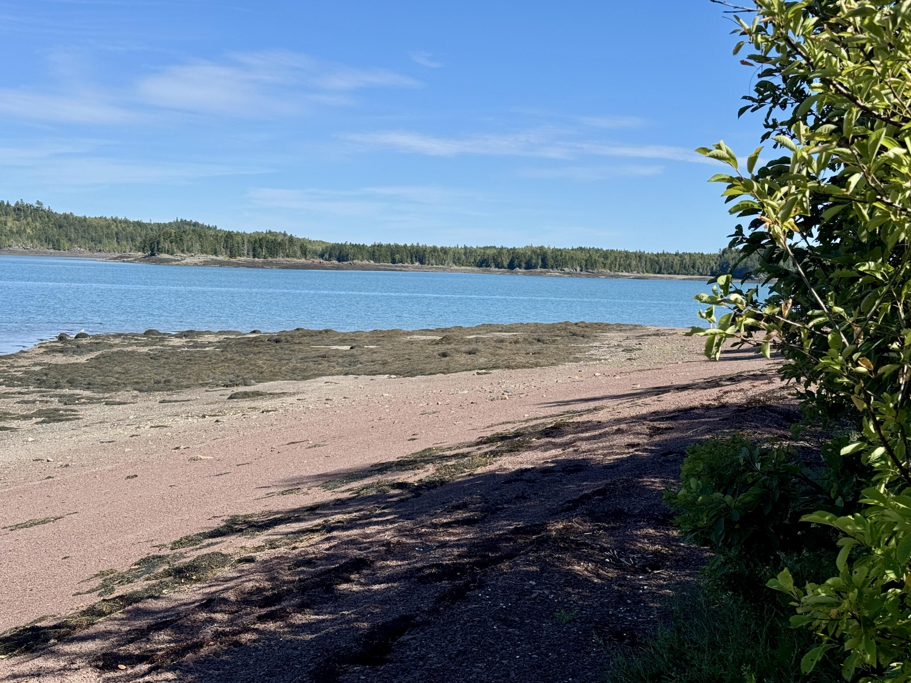 Lot 13 Red Rock Estates Pembroke ME 04666