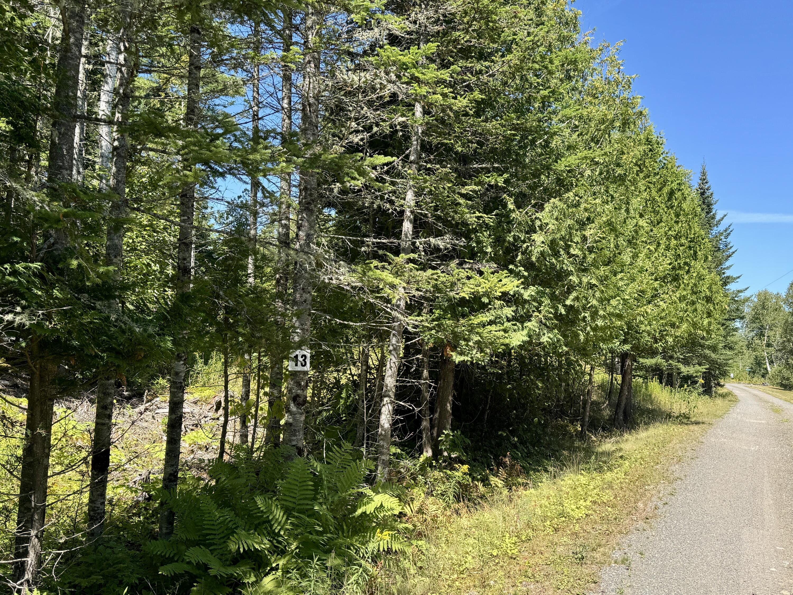 Lot 13 Red Rock Estates Pembroke ME 04666