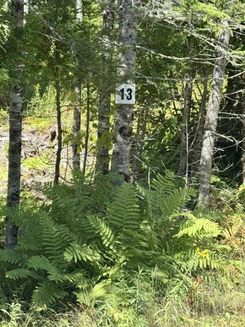 Lot 13 Red Rock Estates Pembroke ME 04666