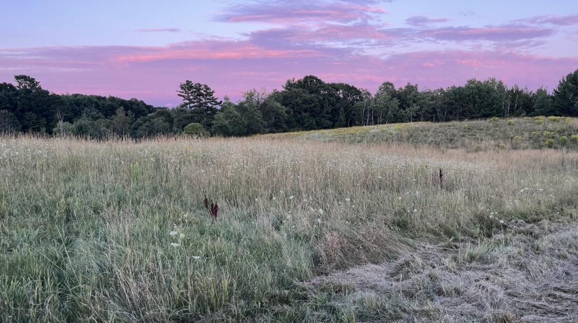 Tbd Main Street Orono ME 04473