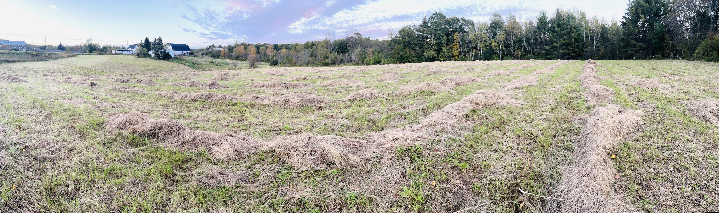 Tbd Main Street Orono ME 04473