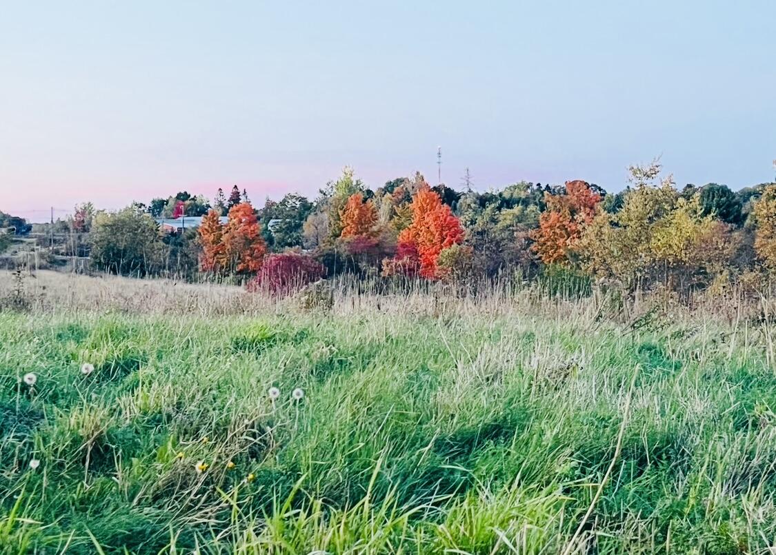 Tbd Main Street Orono ME 04473