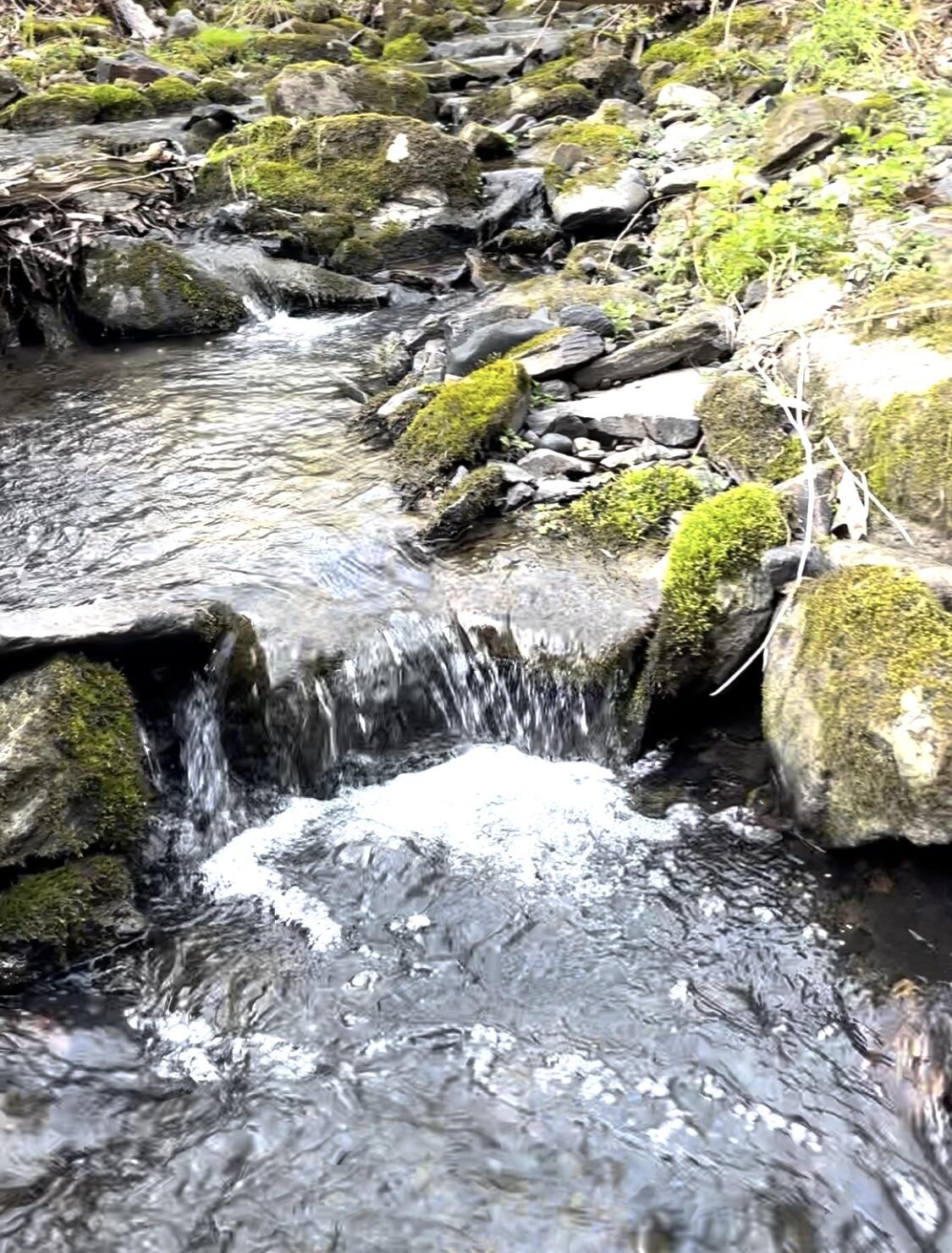 Tbd Main Street Orono ME 04473