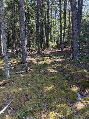 17 Duck Cove Road Brooklin ME 04616