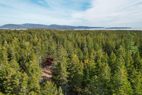 000 Seawall Map/lot 17/11-01 Road Southwest Harbor ME 04679