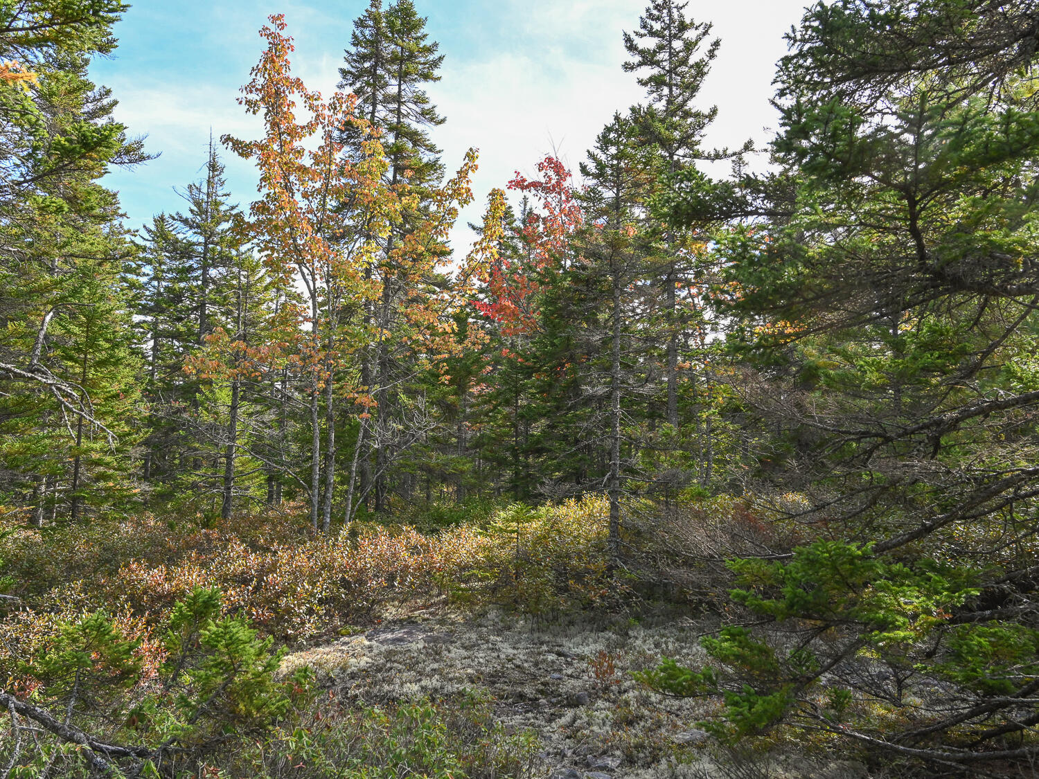 000 Seawall Map/lot 17/11-01 Road Southwest Harbor ME 04679