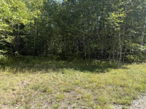 Lot 146 White Tail Road Waltham ME 04605