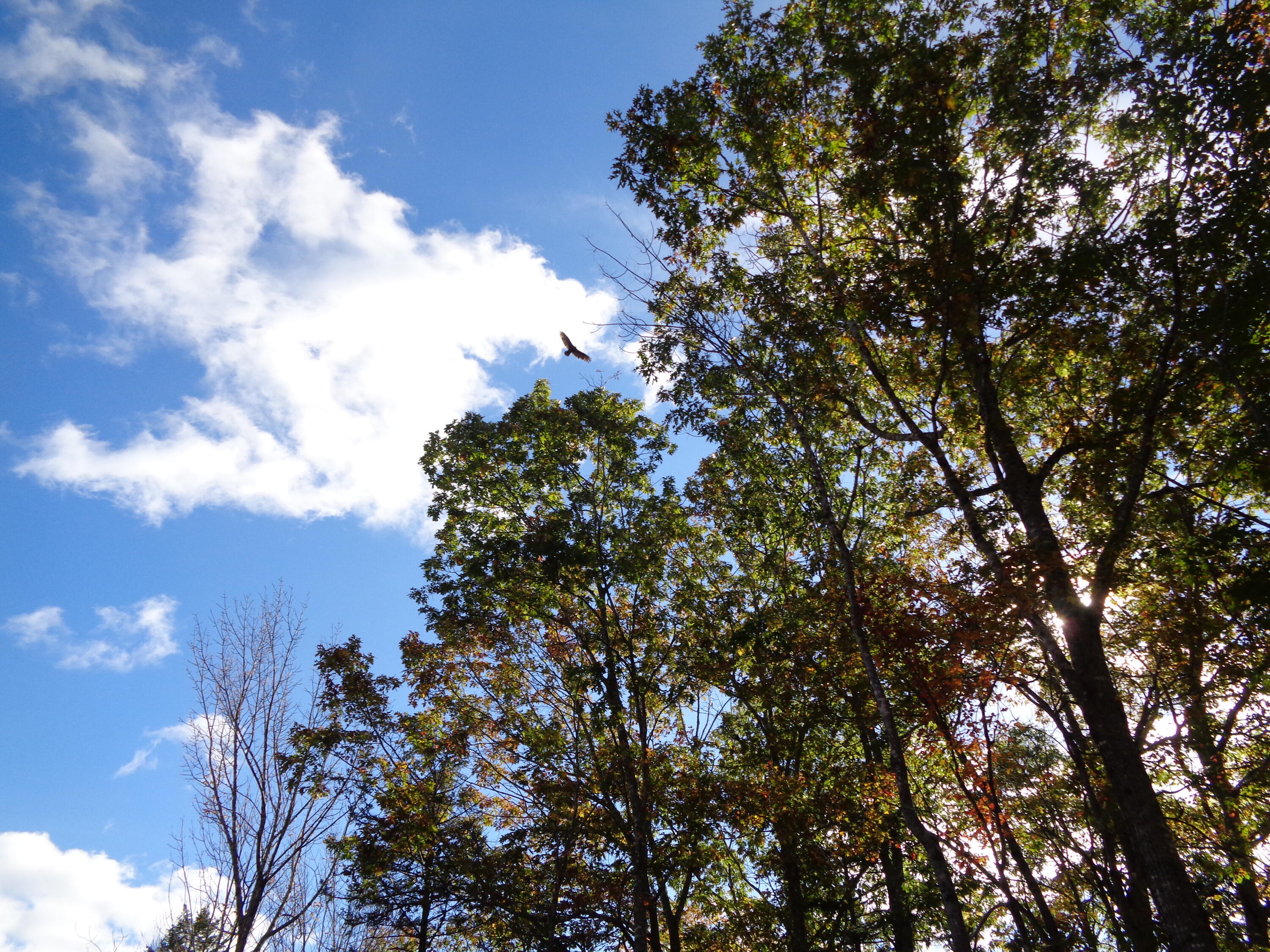 Lot 1-7 Manhattan Way Ellsworth ME 04605