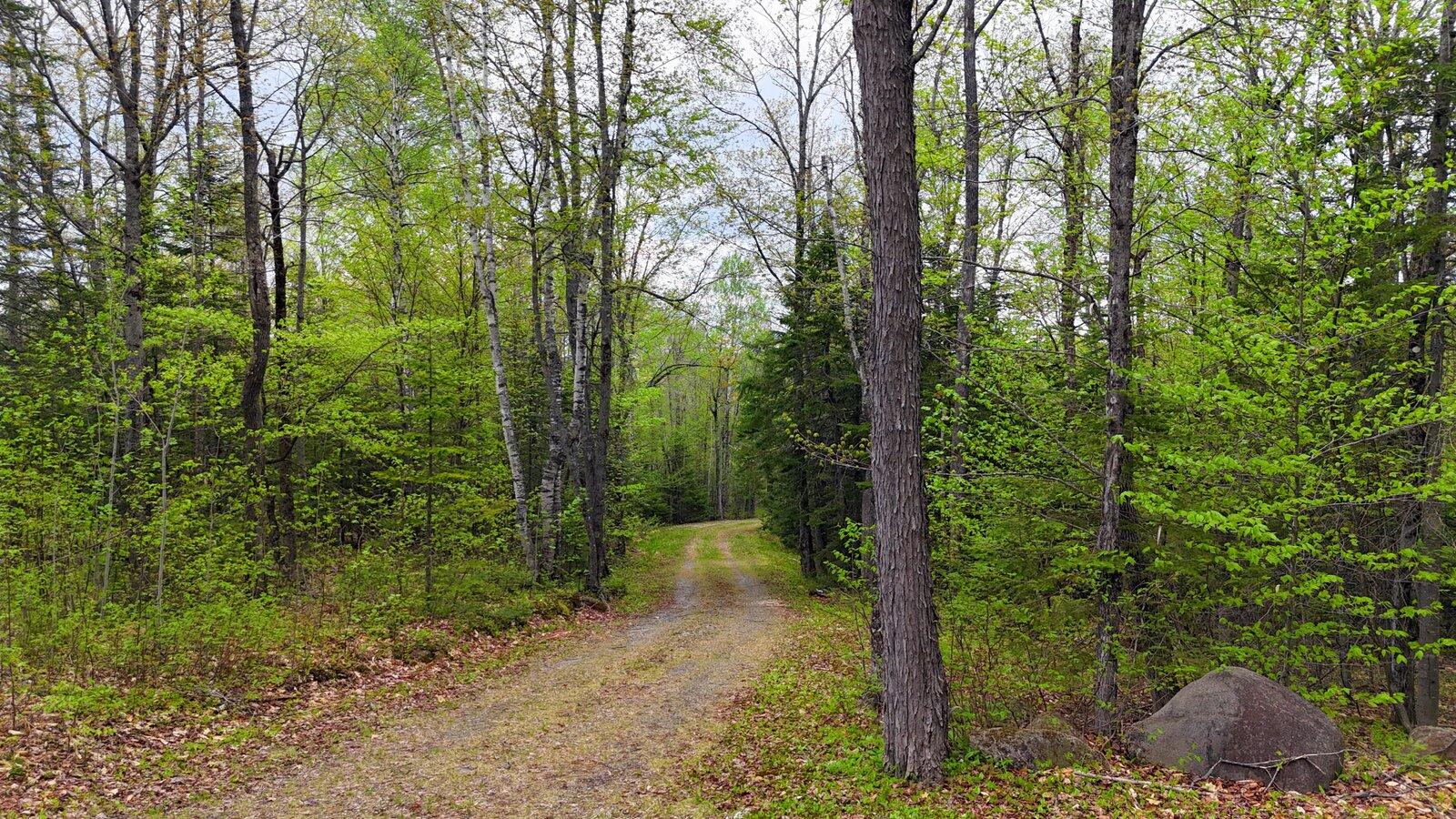 69 Tory Hill Road Phillips ME 04966