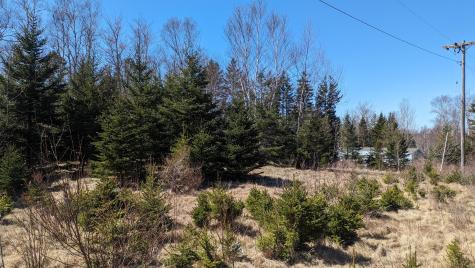 1 Deek Street Eastport ME 04631