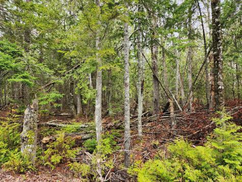 Lot 64 Coffins Neck Road Lubec ME 04652