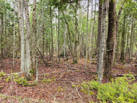 Lot 64 Coffins Neck Road Lubec ME 04652