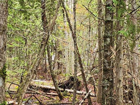 Lot 64 Coffins Neck Road Lubec ME 04652