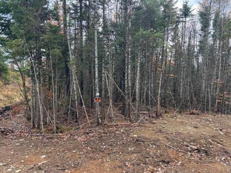Lot ''N'' S Whitetail Way Greenville ME 04441