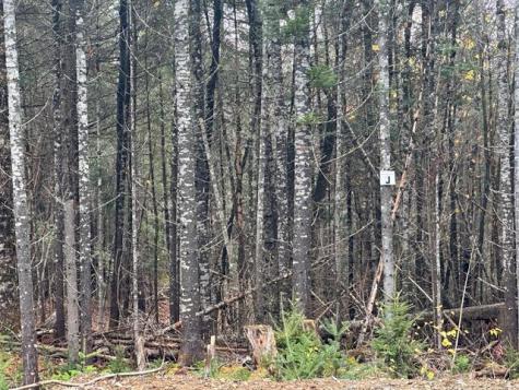 Lot ''N'' S Whitetail Way Greenville ME 04441