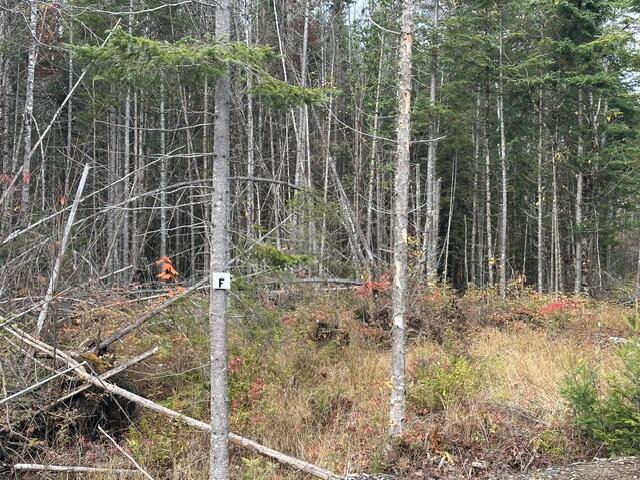 Lot ''N'' S Whitetail Way Greenville ME 04441