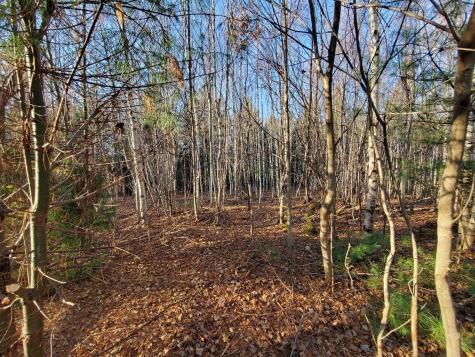 Lot 65-2 Ramsdell Ridge Road Milo ME 04463