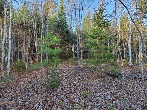 Lot 65-2 Ramsdell Ridge Road Milo ME 04463