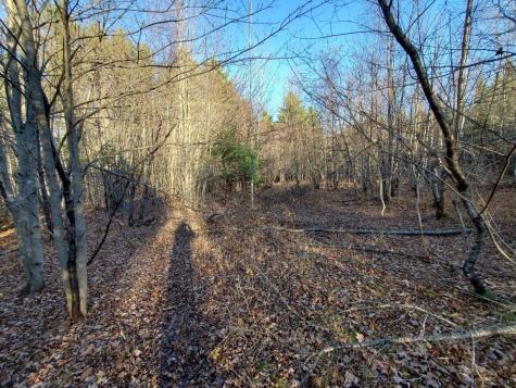 Lot 65-2 Ramsdell Ridge Road Milo ME 04463