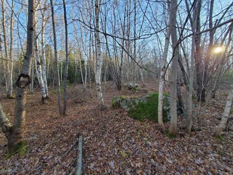 Lot 65-2 Ramsdell Ridge Road Milo ME 04463