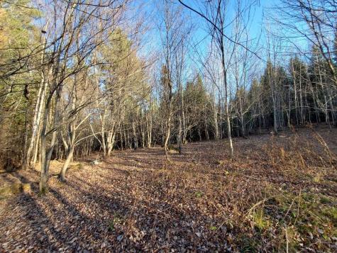 Lot 65-2 Ramsdell Ridge Road Milo ME 04463