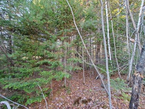 Lot 65-2 Ramsdell Ridge Road Milo ME 04463