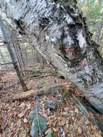 Lot 65-2 Ramsdell Ridge Road Milo ME 04463