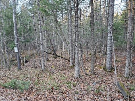 Lot 65-2 Ramsdell Ridge Road Milo ME 04463