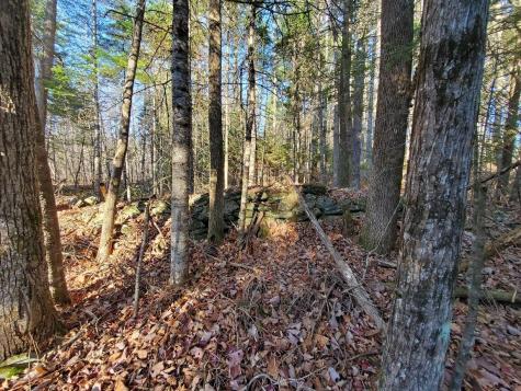 Lot 65-2 Ramsdell Ridge Road Milo ME 04463