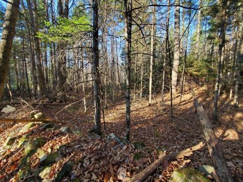Lot 65-2 Ramsdell Ridge Road Milo ME 04463