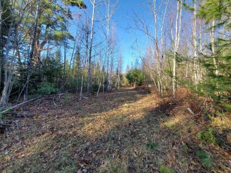 Lot 65-2 Ramsdell Ridge Road Milo ME 04463