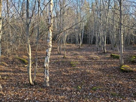 Lot 65-2 Ramsdell Ridge Road Milo ME 04463