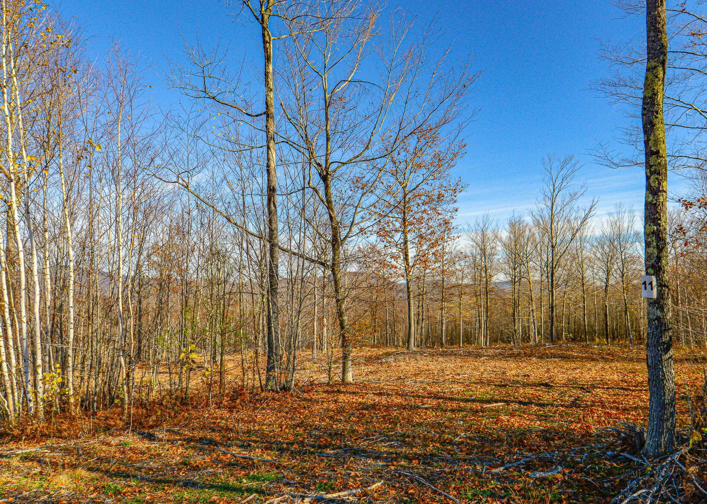 Lot 11 Mine Road Stoneham ME 04231