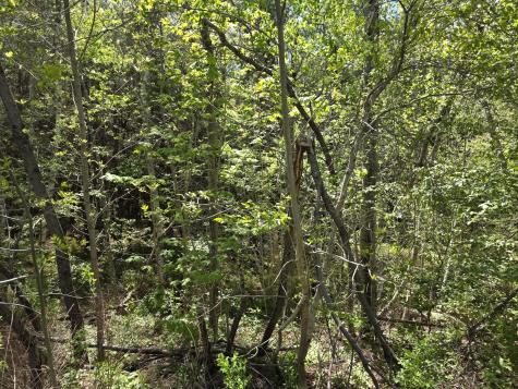 6 Goose River Estates Swanville ME 04915