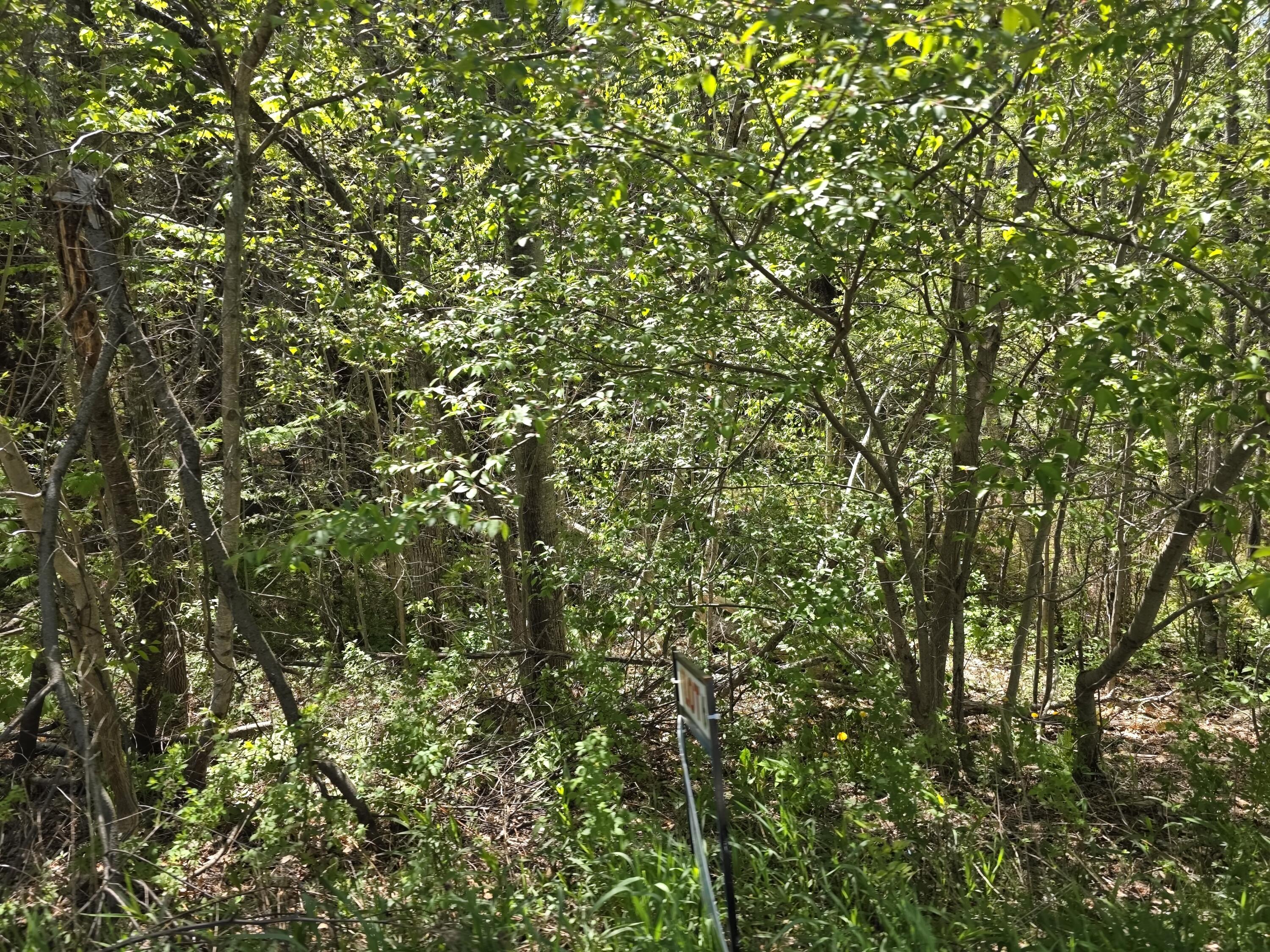 6 Goose River Estates Swanville ME 04915