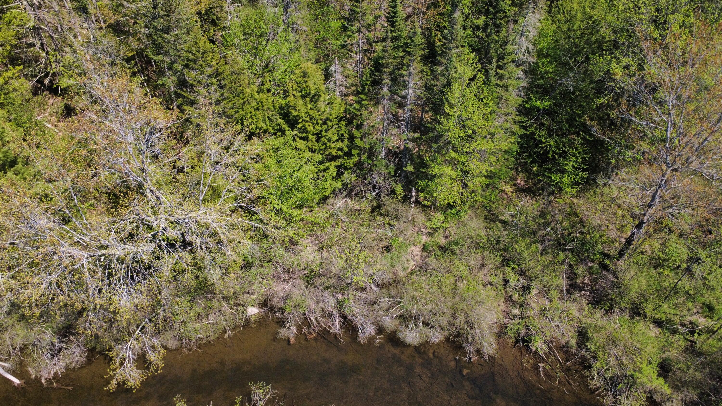 6 Goose River Estates Swanville ME 04915