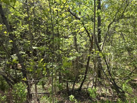 6 Goose River Estates Swanville ME 04915