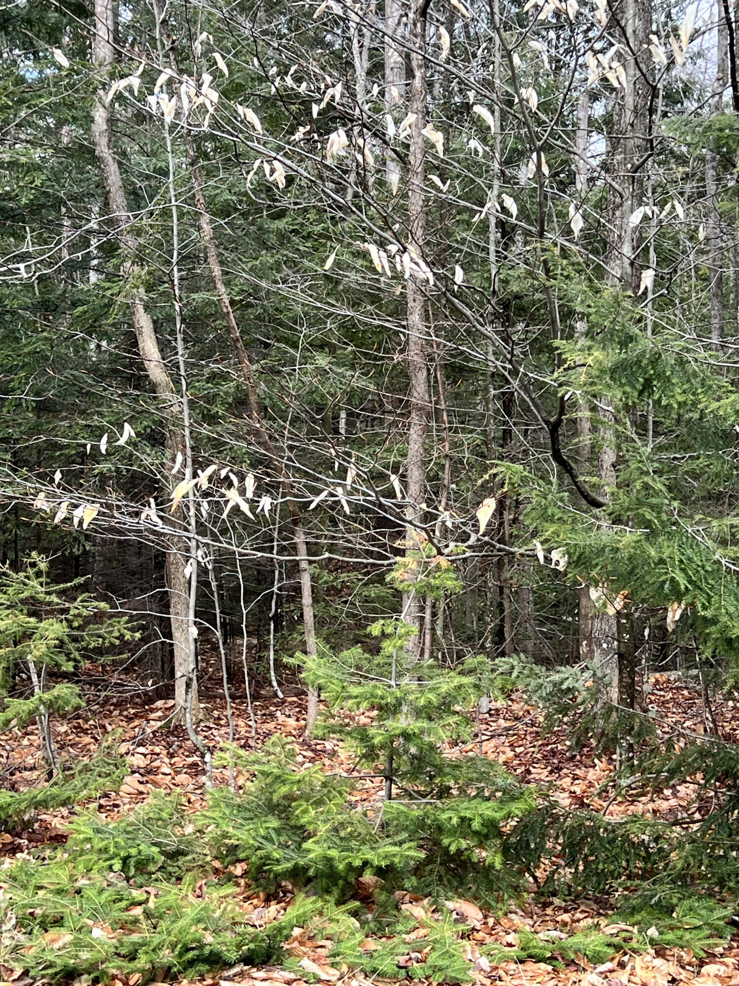 R12-042 Industry Road Farmington ME 04938
