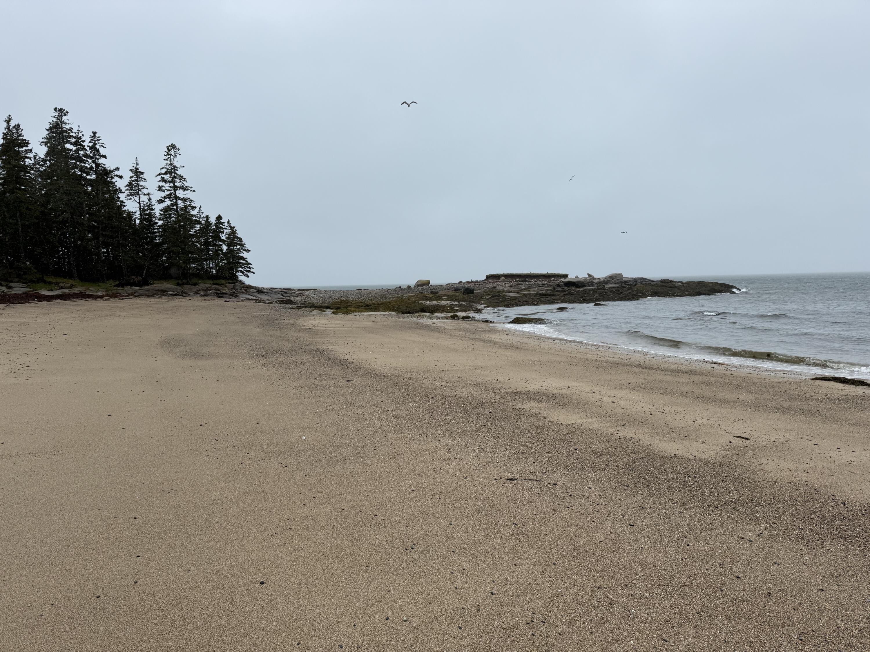 18 Jericho Bay Road Swans Island ME 04685
