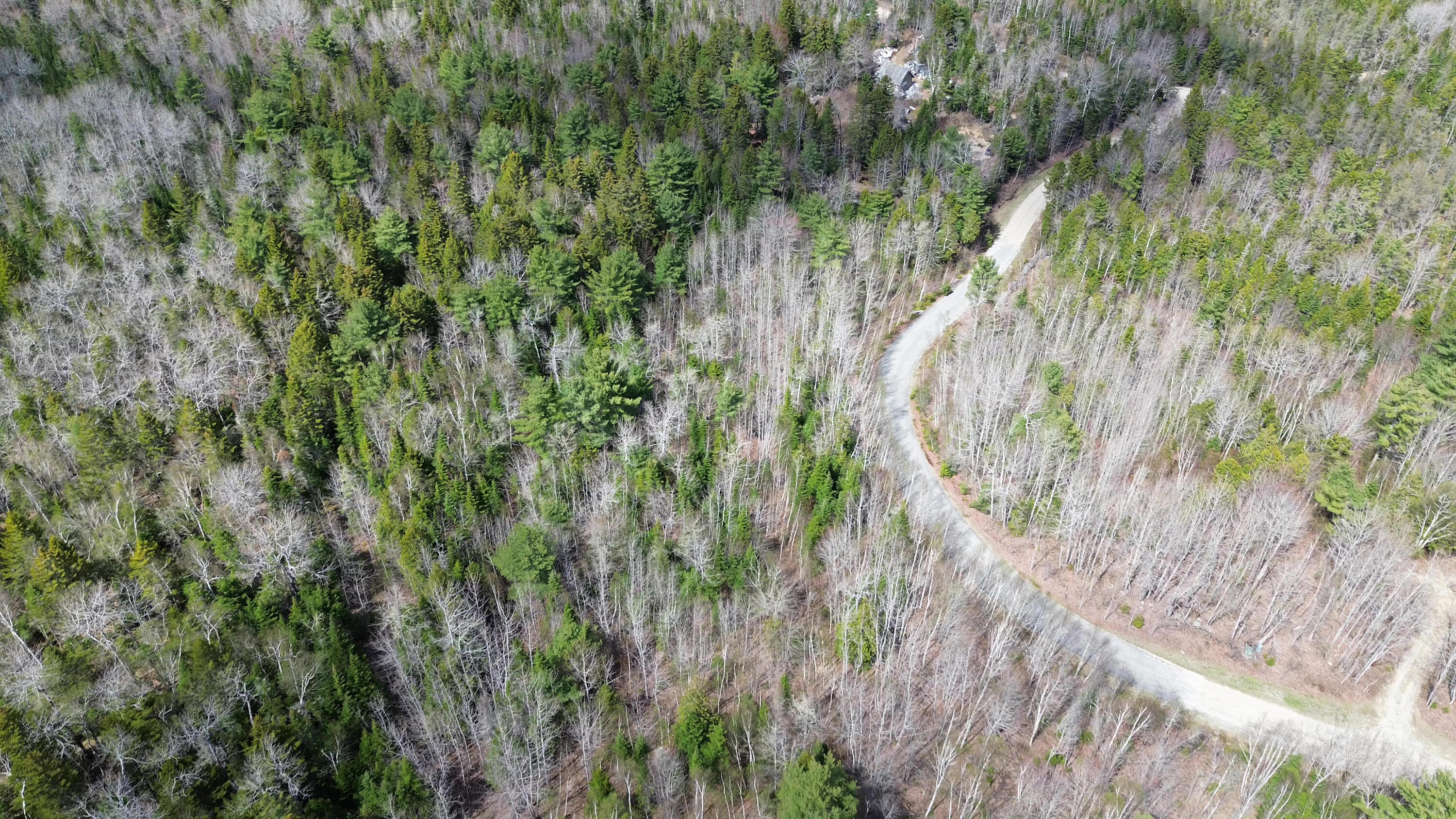 LOT20-20 Bailey Mountain Road Franklin ME 04634