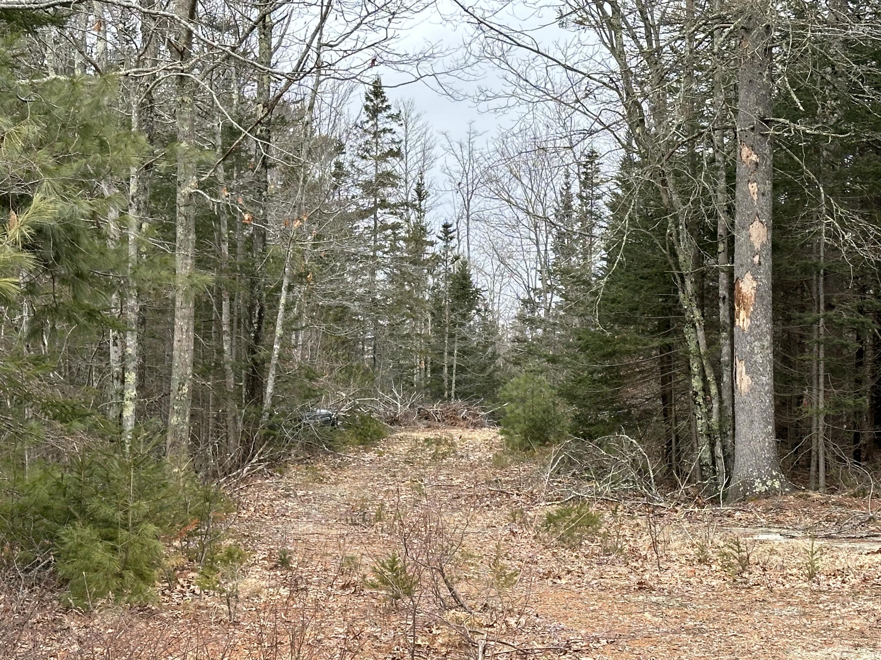 221 Bucksport Road Ellsworth ME 04605