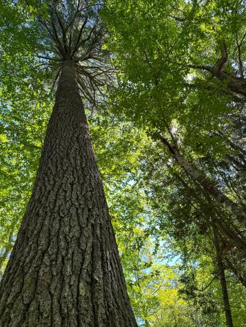 50-52A-54 Old County Road Sedgwick ME 04676