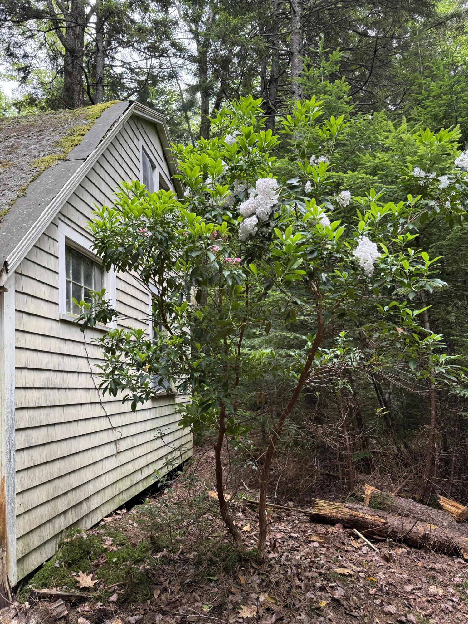 50-52A-54 Old County Road Sedgwick ME 04676