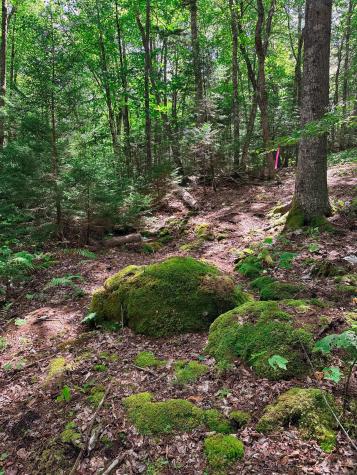 50-52A-54 Old County Road Sedgwick ME 04676